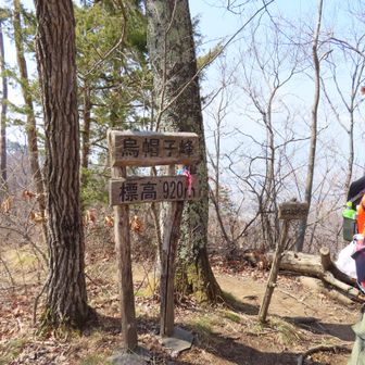 でも立派な峰です