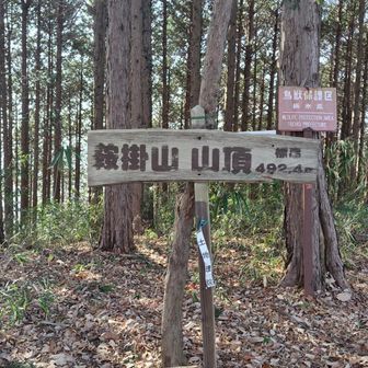鞍掛山の山頂。大岩からチビハシゴ降りて直ぐに到着