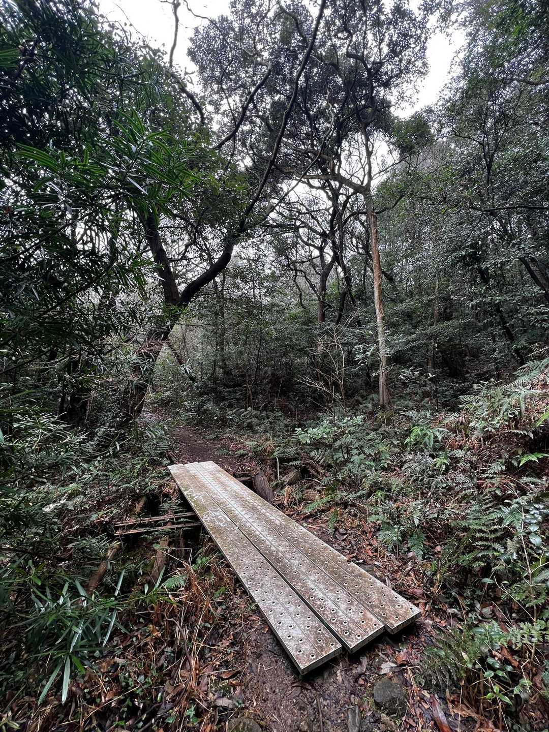 茶臼山 周回コースの写真