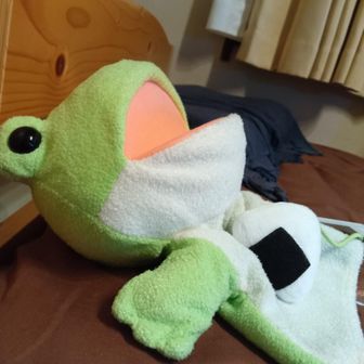 やまけん