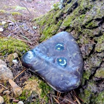 又会いに来たよ🐶