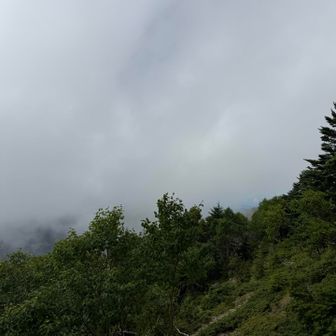 天気悪い