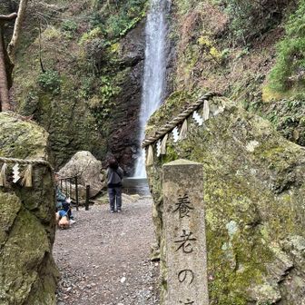 養老の滝に降りて来ました
