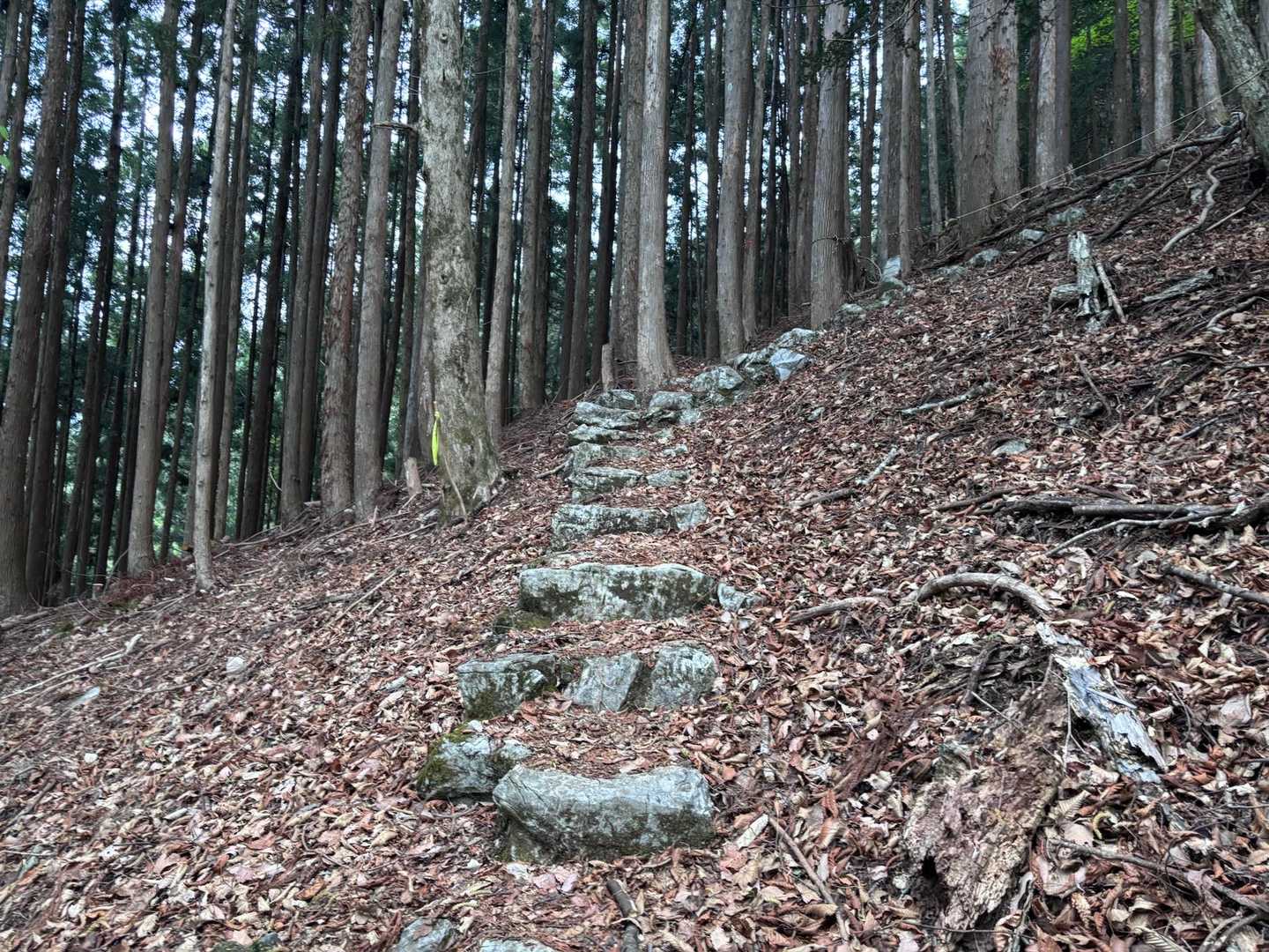 たまに階段がある