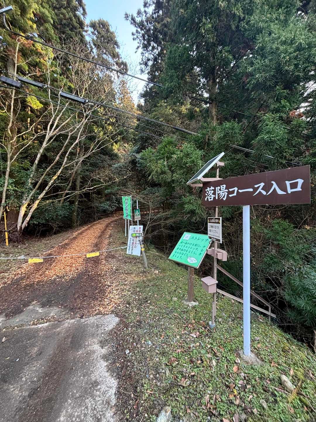 森の力で心も身体も健康に｜篠栗森林セラピーロード落陽コースの写真