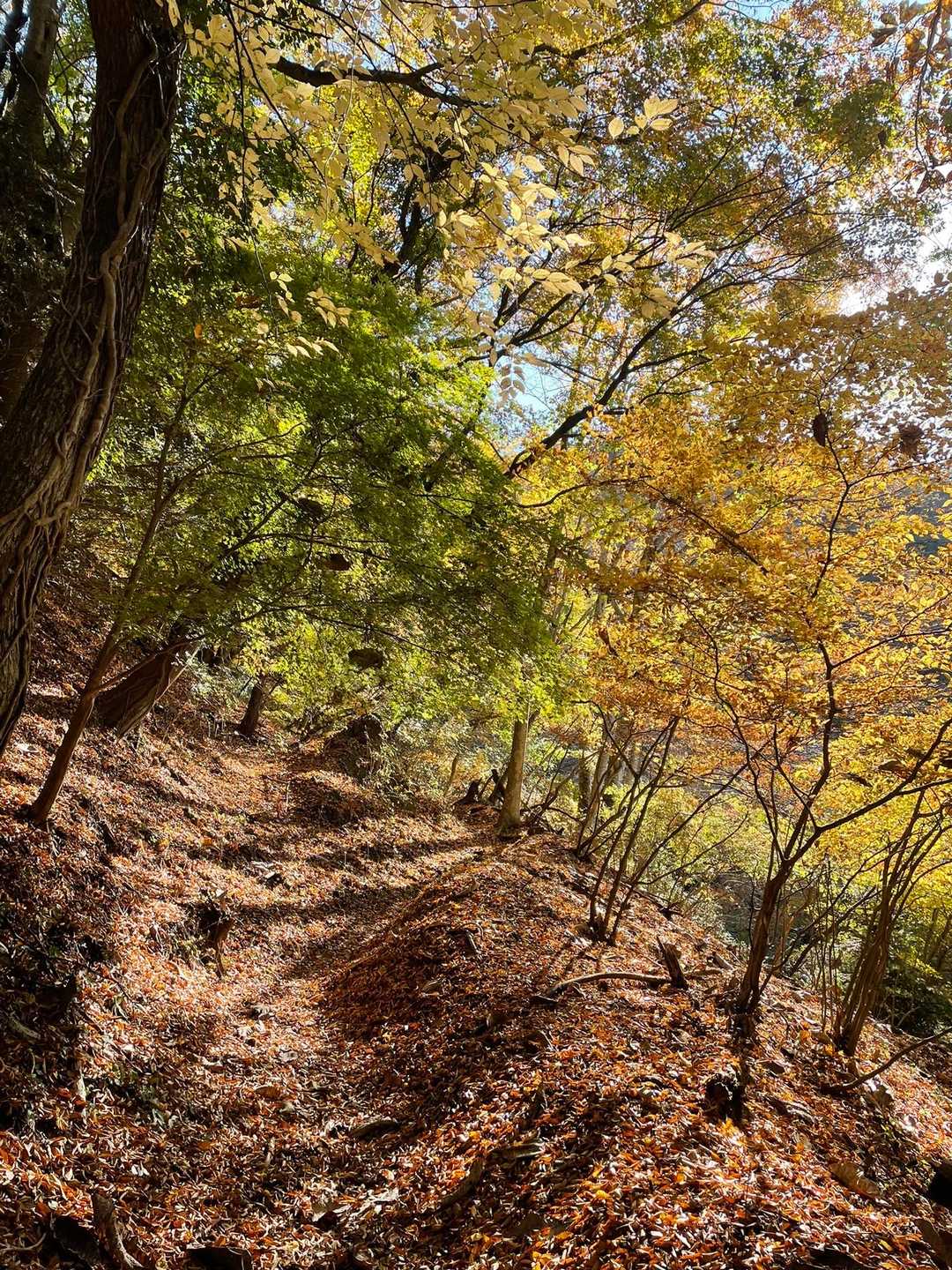 本格的に登山開始です！
