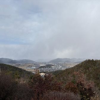 またまた白くなってきたよー😹