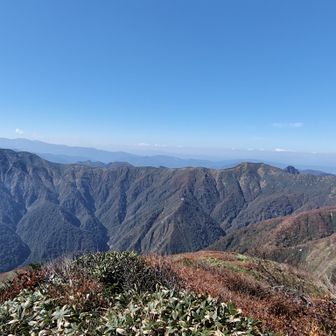 馬蹄形をチャレンジしている人も、最高のコンディションでしょうね🎶