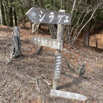 ウマガタオのケン？
クチワリノタオ？
僕のナマエはダイ