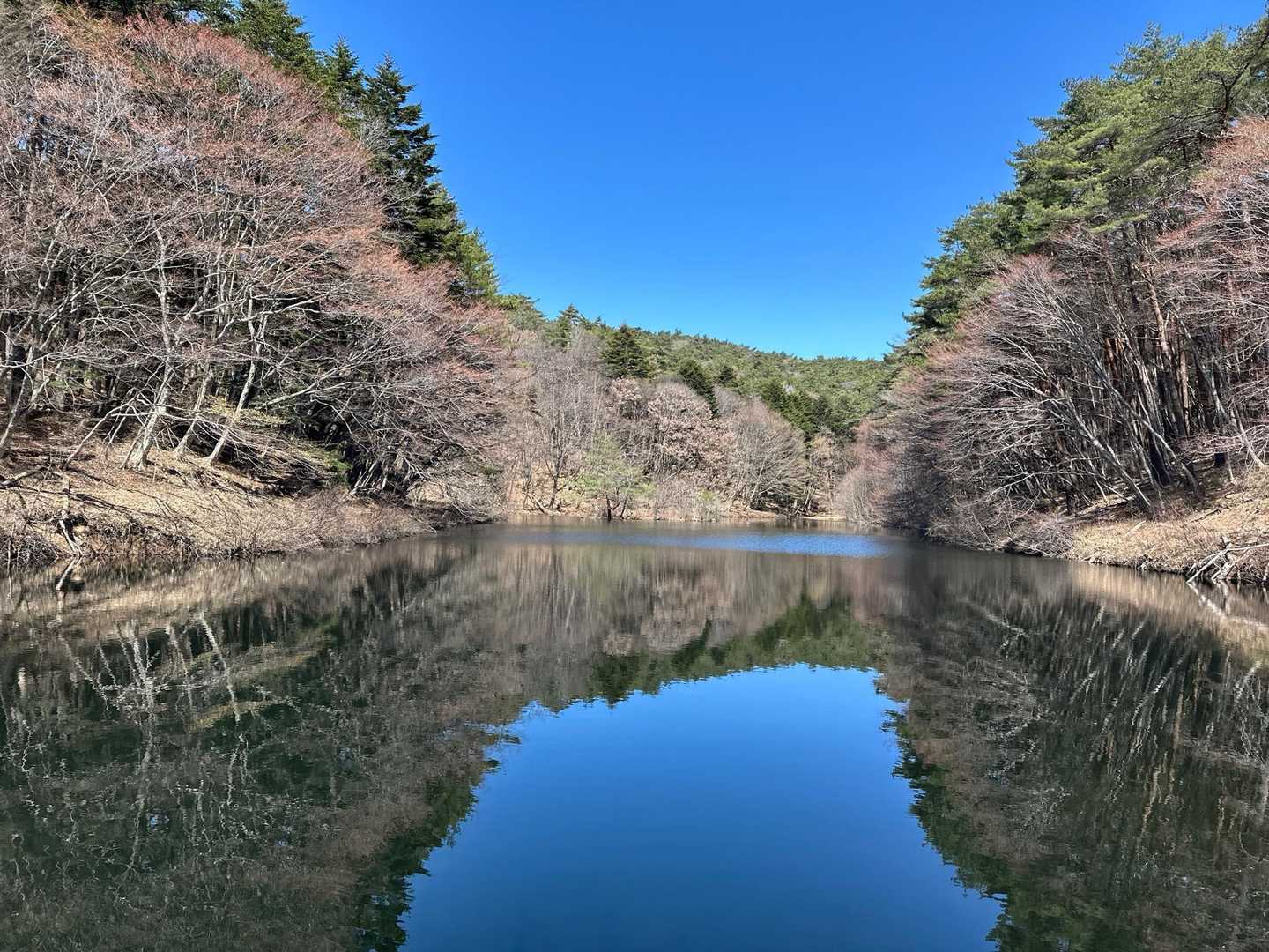 今日の青空最高です♪
秋になったら、松の緑と🍁と青空のコラボリフレクションがきれいそうだなぁ
