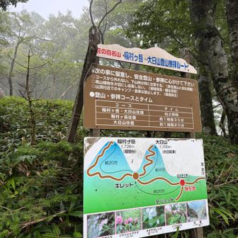 このまま頂上へ⛰️