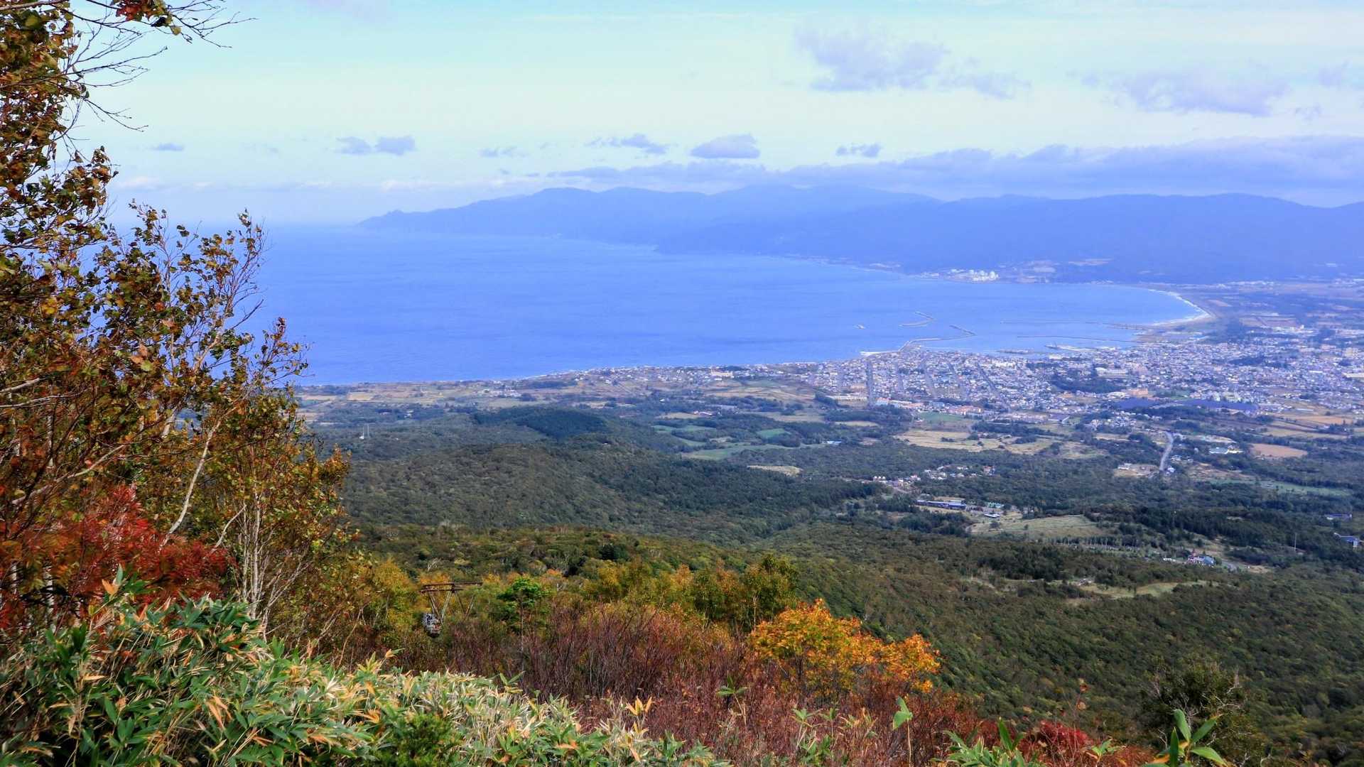 色づき良い🍁
