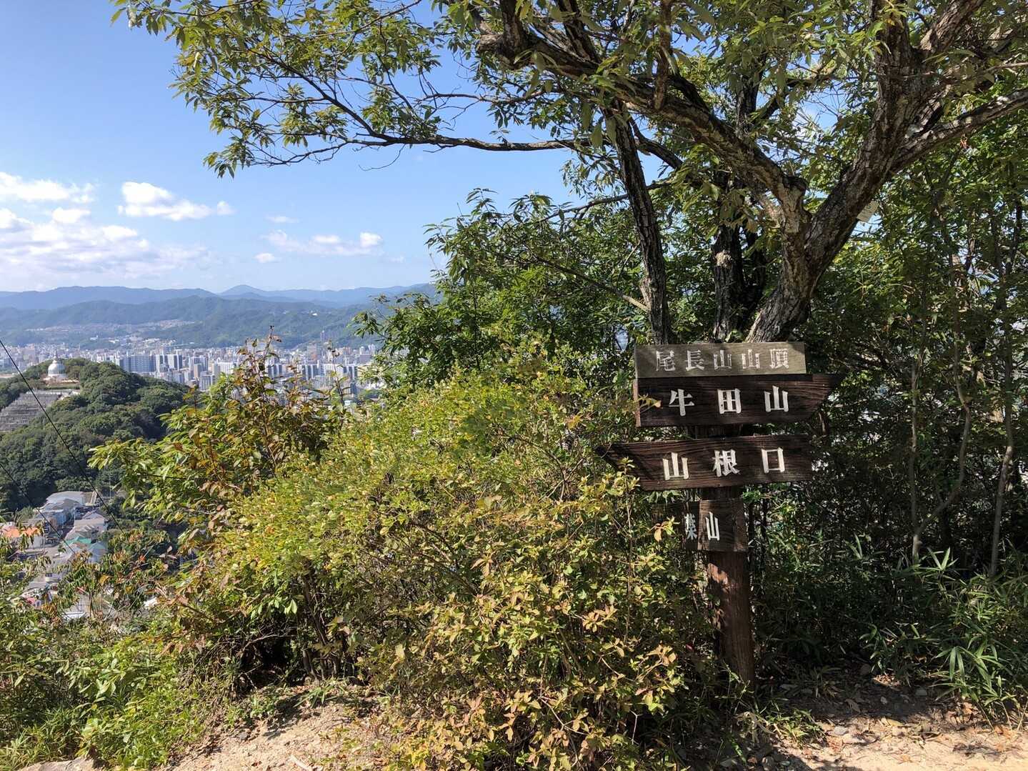 尾長山の写真