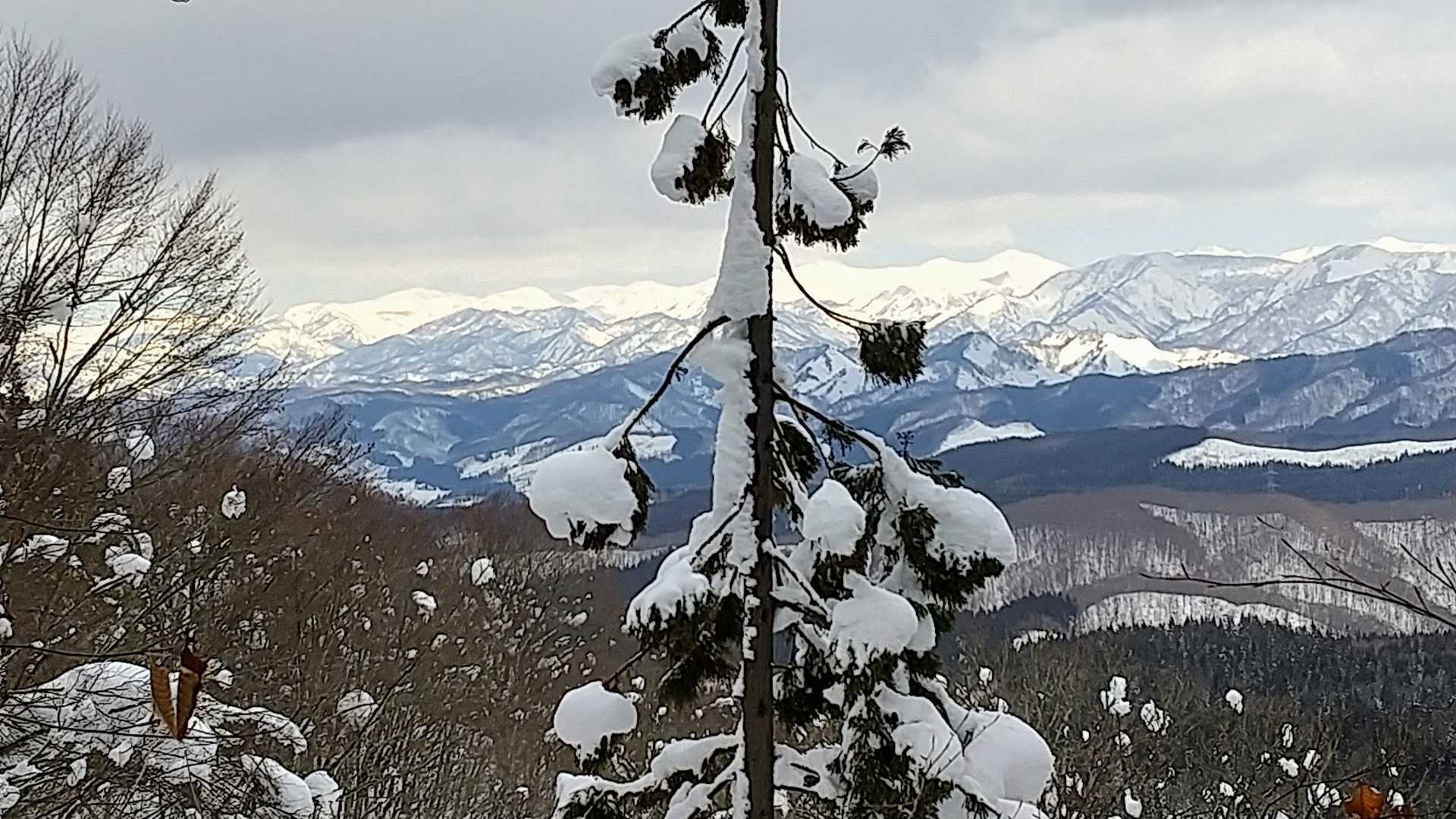 あ、朝日連峰⛰が見えて来た😯
