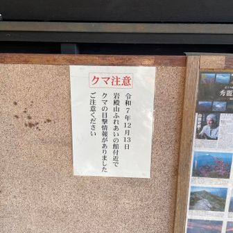 あの鈴は熊よけも兼ねていた様で😅