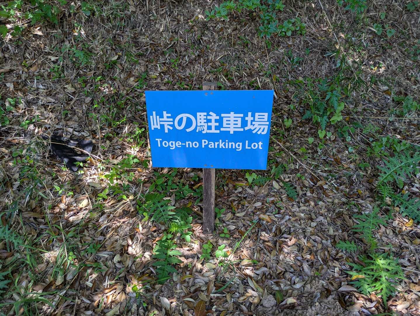 峠の駐車場🅿️から山頂まで10分で着きました😅