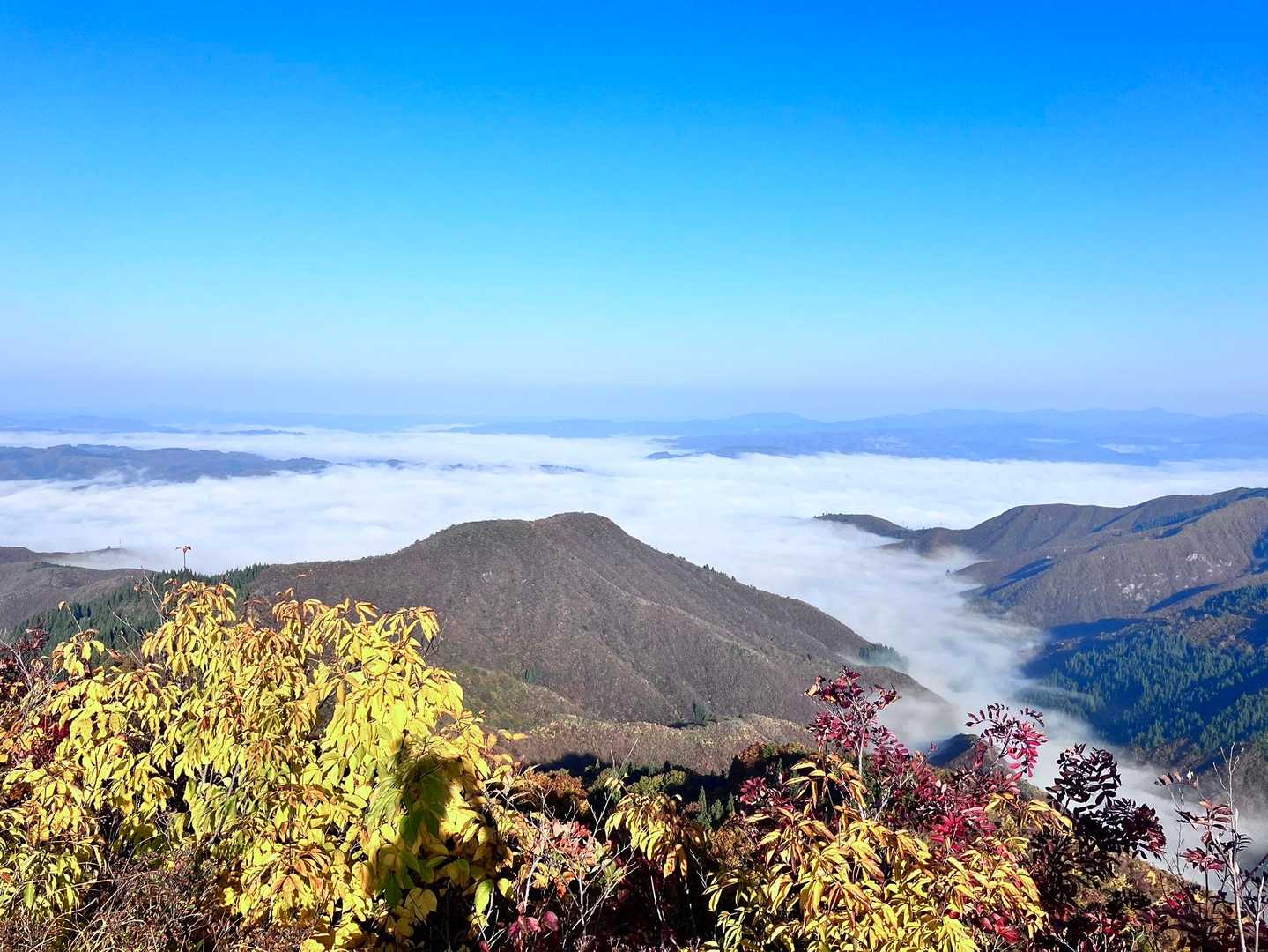 一本杉-鳴倉山-トヤの頭-駒の頭-黒禿の頭-笠倉山-大力山 周回コースの写真