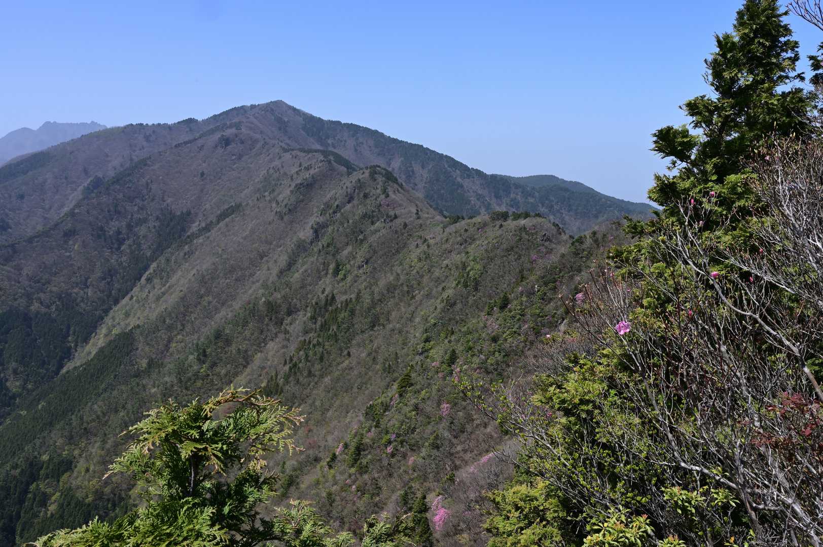 赤星山の斜面も少し色づいています