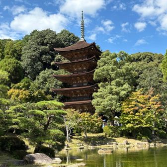 瑠璃光寺の駐車場からスタートします。