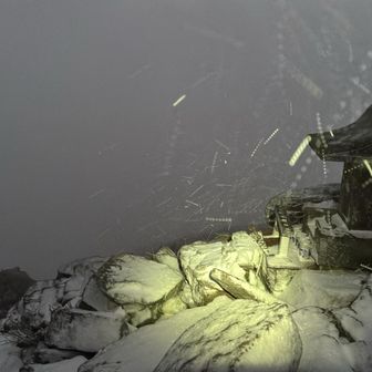 助けて･･･