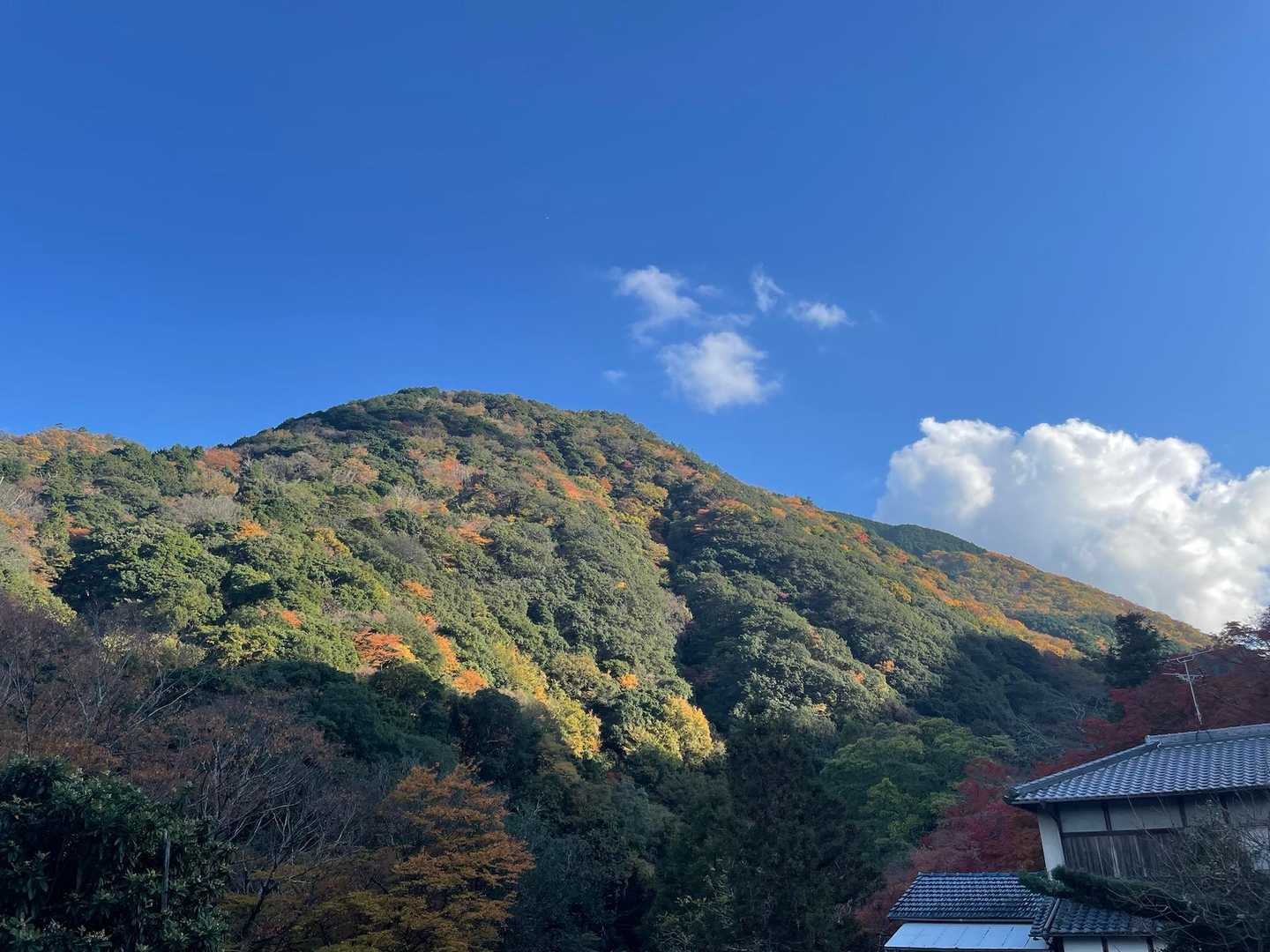 山様も日が当たってなかなかいい感じ