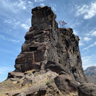 2月にここまで登っている。