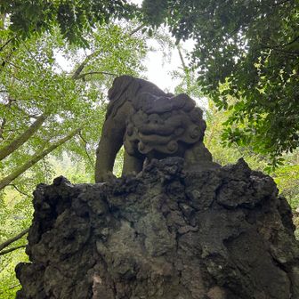躍動感ある獅子です🤗