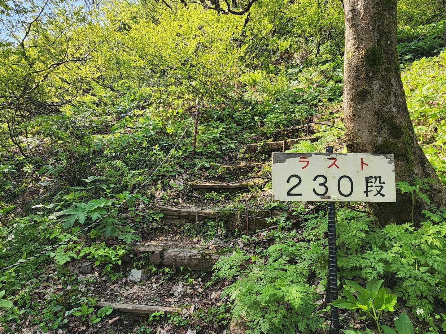 急いで登ったので､757段は辛かったです😱💀｡
でも､ここで渋滞はしたくなかったので､頑張りましたよ💪｡