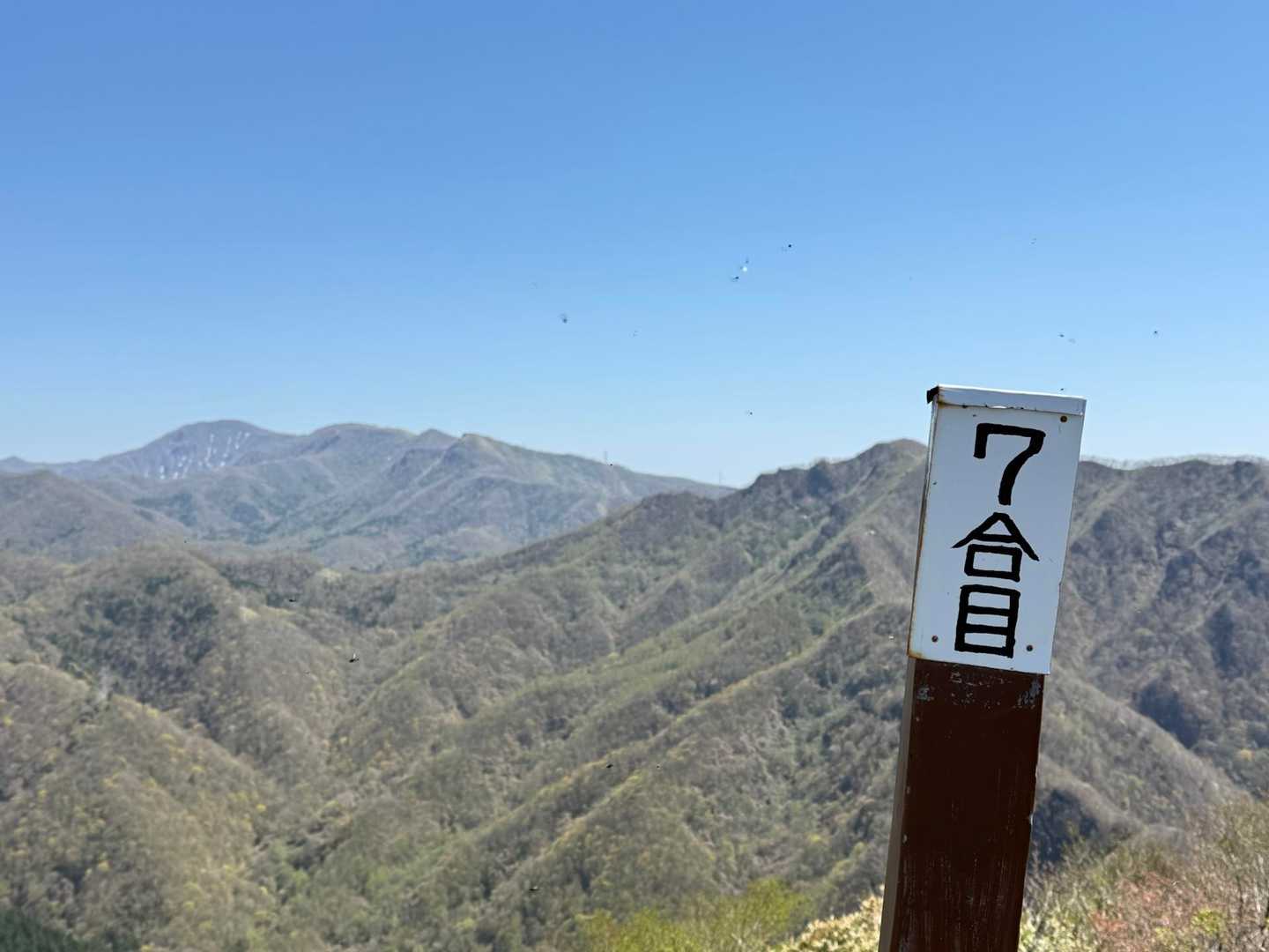伊達紋別岳 往復コース | 笹を切り開いた解放的な稜線歩きを楽しむの写真