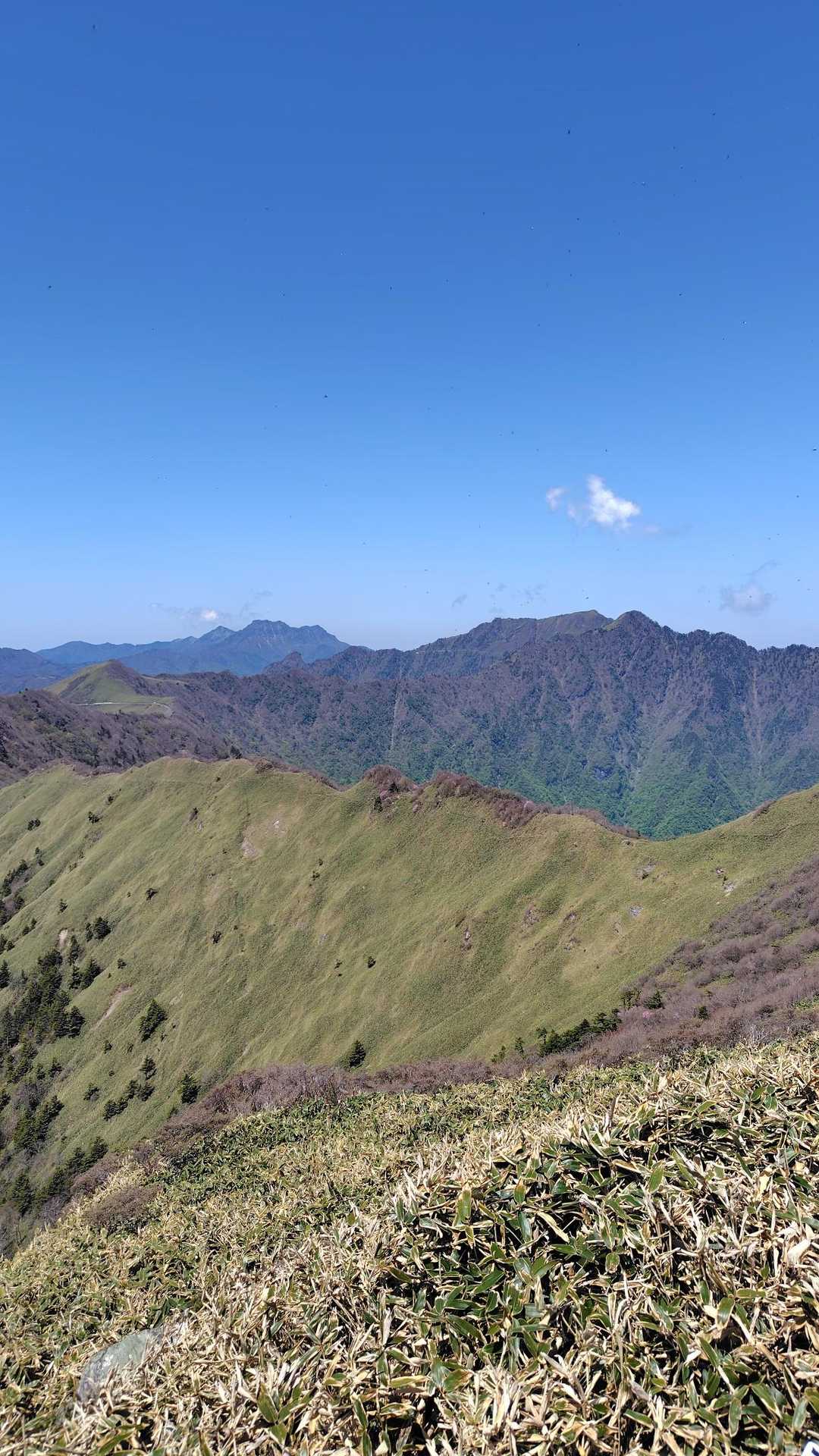 東黒森登山口-伊予富士-東黒森-自念子ノ頭 周回コースの写真