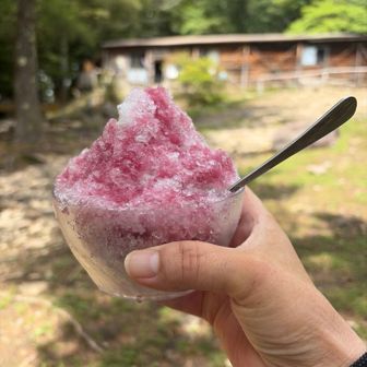 そして山小屋まで戻ってきました！
巨峰のかき氷ちょ〜うまい😋