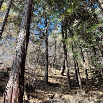 大岩の頭手前も安定の急坂！
そして活動開始を忘れていた事に気付く😭