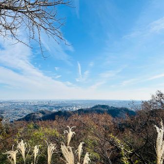 金毘羅台から。