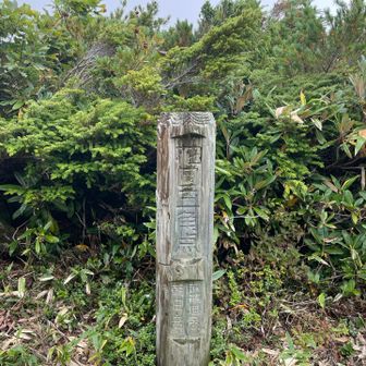 花園三角点とは？