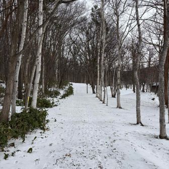 怒涛の忘年会シーズンも昨夜で終了
飲み過ぎたので少し遅めのスタート