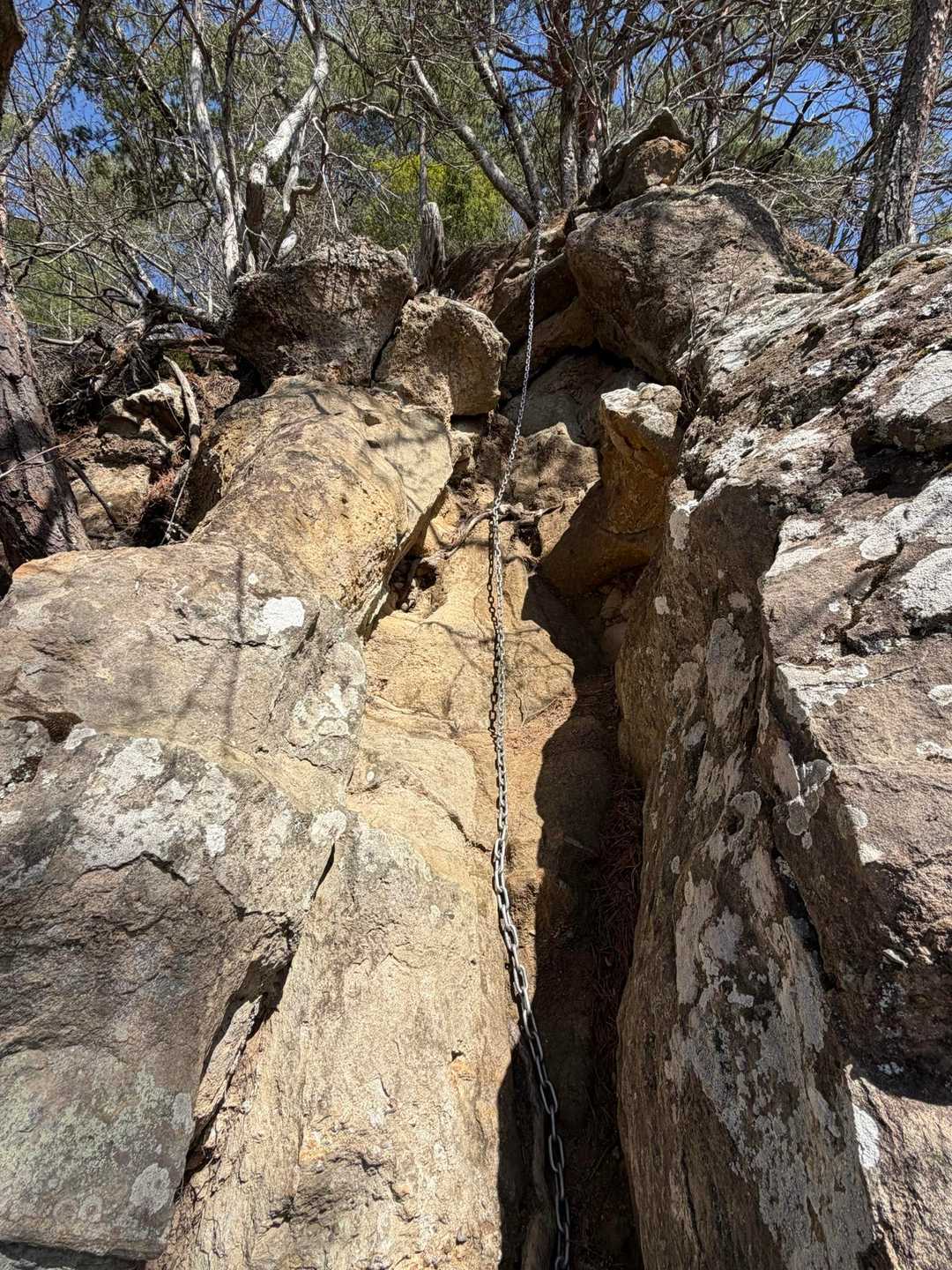大姥山 往復コースの写真