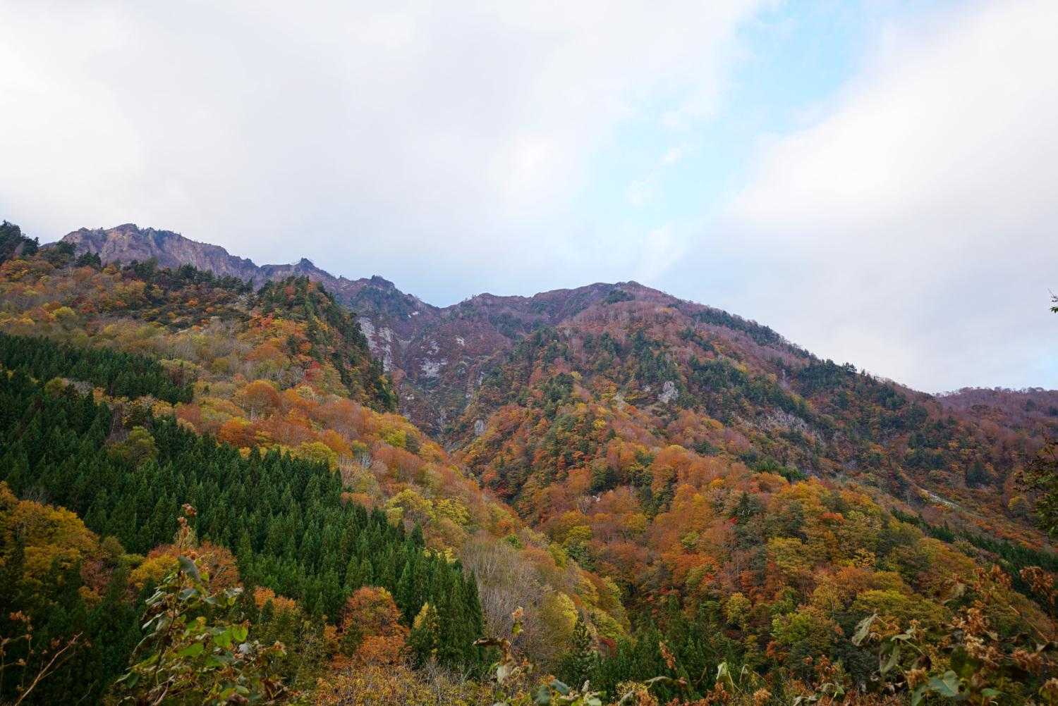 ロードが長く堪えるが、下から見る鳥甲山もステキでした。
ただ、道路上で猿の軍団(20匹ほど)に出会った時は、グローブはめ直し、警戒しながら、この日最大の緊張の瞬間だった。