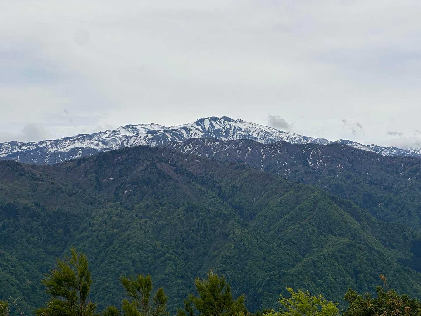 白山
ちょっとのことで白抜山よりも見える部分が多い