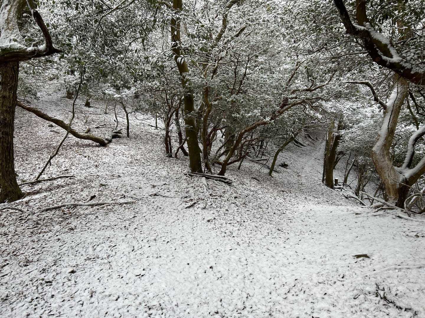 距離もないので妙見山に向かって進みます。