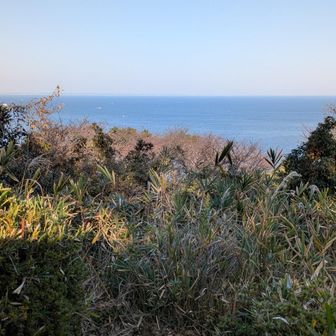 音成神社脇にある展望台から海は見えますが、夫婦岩とかは見えません。
日の出が見られるらしいので、条件良ければ富士山も見えるでしょう。