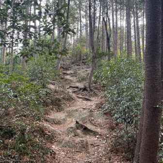 官ノ倉山への急登😤