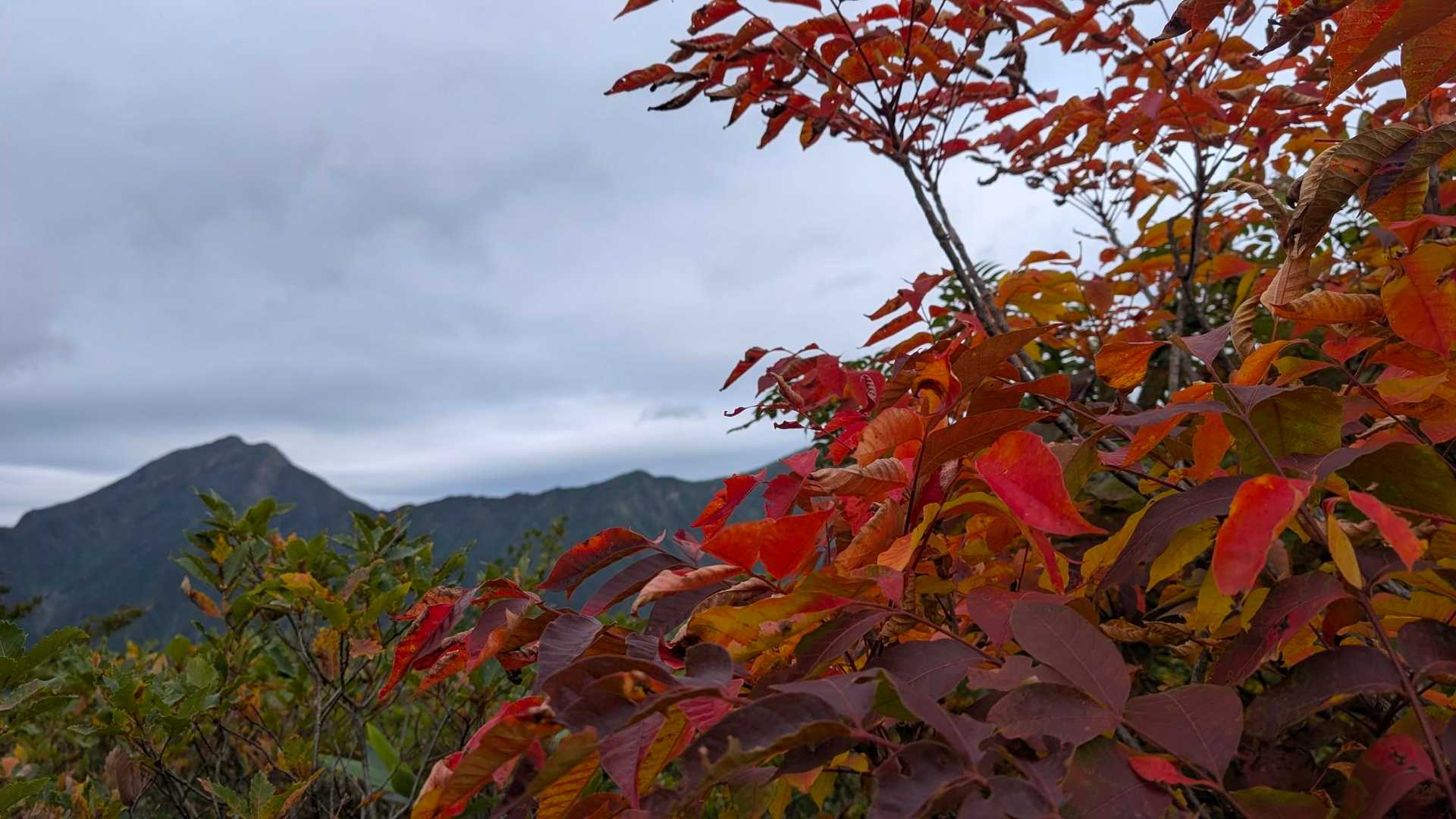中ノ岳-小兎岳-兎岳-大水上山-丹後山-ジャコ平 周回コースの写真
