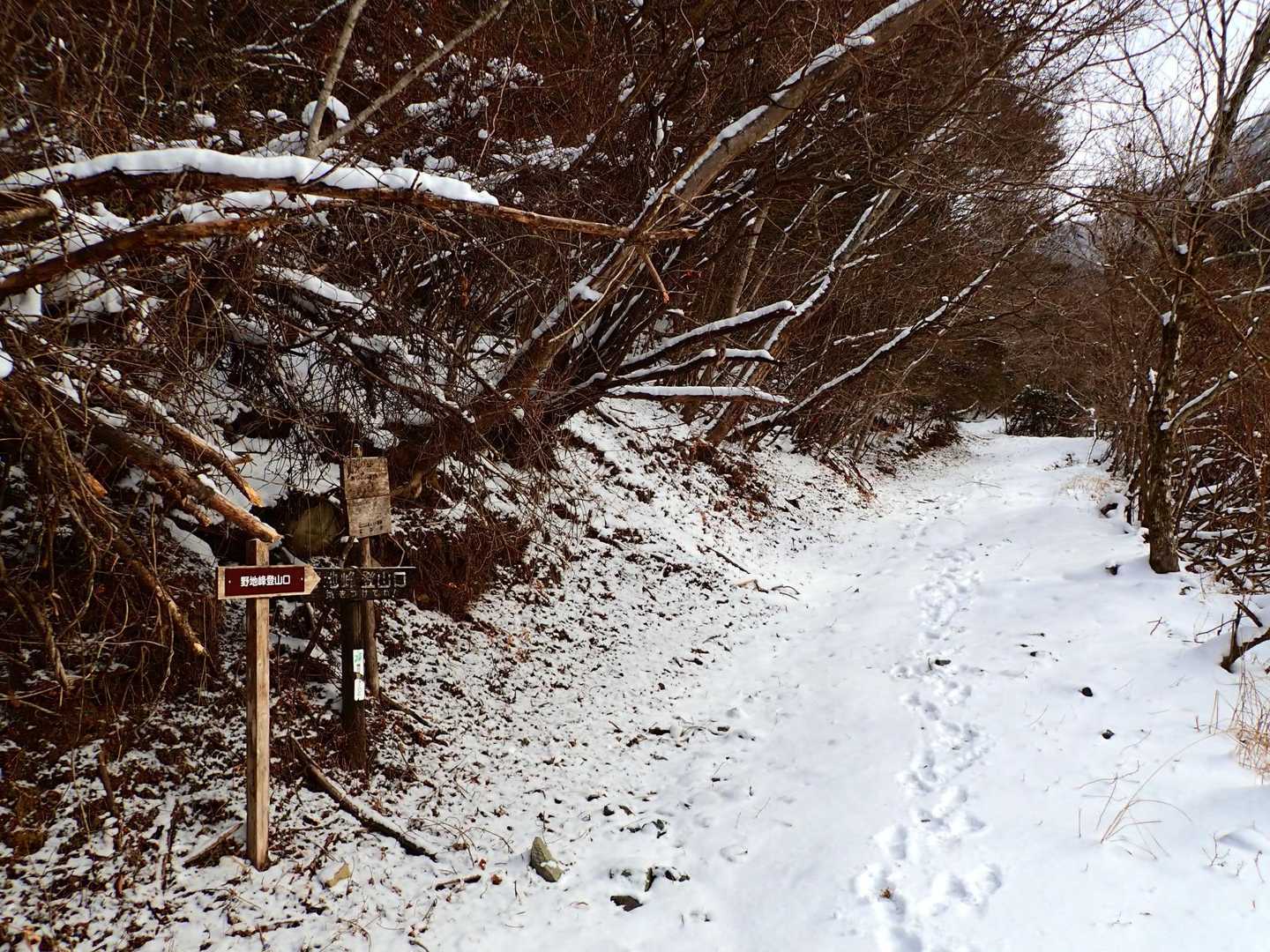 出発