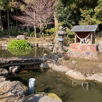 甲突川の源流の甲突池