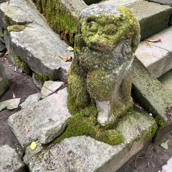 高住神社までおりてきました。