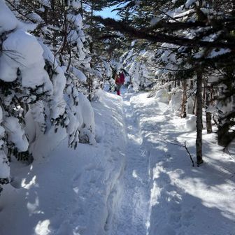 で、雨池山までの登りは力尽きたそうで😂気付かぬうちに置いていってた😂