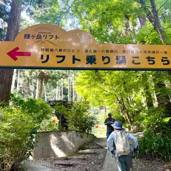 リフトもあるね