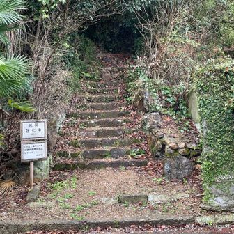 野一色公園から登って