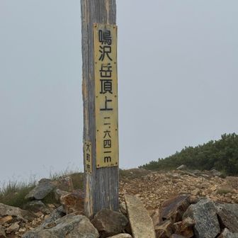 今日最後のピーク鳴沢岳