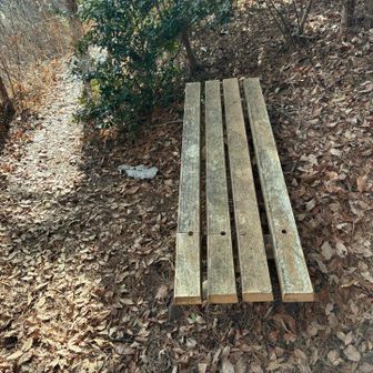 今日最後に今日初めて見たベンチ、古賀志山はベンチ無いね